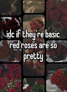 red roses are so pretty with the words id if they're basic, red roses are so pretty