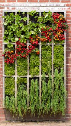 a brick wall with plants growing on it and an old window frame in the middle