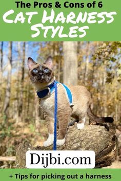 the pros and cons of cat harness styles