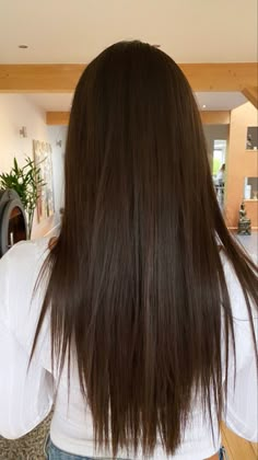 Long Hair Back View Straight, Long Haircut From Back, Thinned Ends Haircut, Straight Hair No Layers, V Cut Hair Medium, Layered V Cut, New Jeans Hair, Layers On Straight Hair, Long Angled Haircut