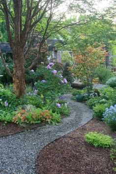 a garden filled with lots of different types of flowers and plants next to a tree