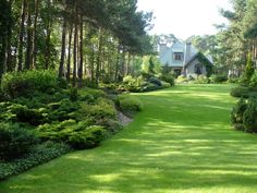 the house is surrounded by trees and bushes on both sides of the driveway, along with lush green lawn