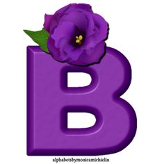 the letter b has a purple flower in it