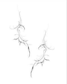 an artistic drawing of some branches on a white background in black and white, as well as the outline of another branch