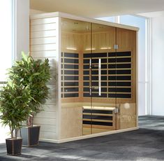 an indoor sauna is shown with two potted plants