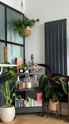 some plants are sitting in front of a window and bookshelf on the floor