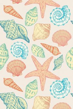 an image of seashells and starfish on a white background for wallpaper