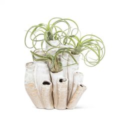 a white vase with some plants in it