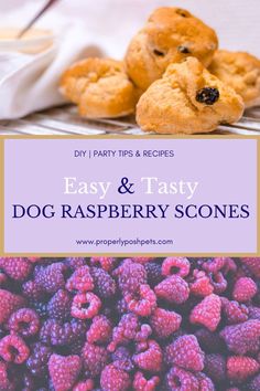 raspberry scones with text overlay that reads easy and tasty dog raspberry scones