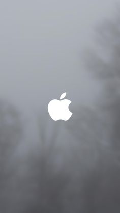 an apple logo is seen through the fog