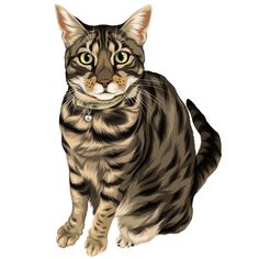 a drawing of a cat with green eyes and brown stripes on it's face