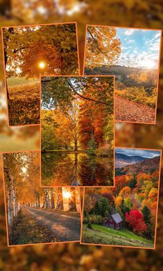 several pictures of autumn trees with the sun shining through them