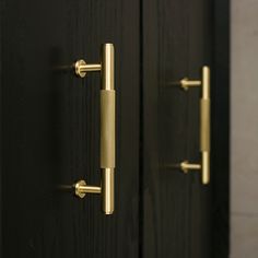 two black doors with brass handles on them