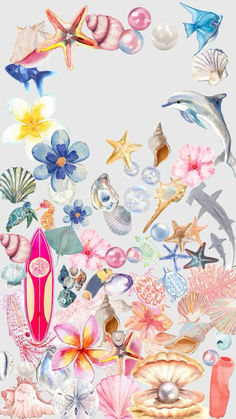 a bunch of different types of seashells and other sea animals on a white background