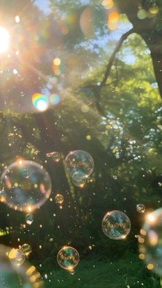 soap bubbles are floating in the air near a tree and grass area with sunlight shining through it