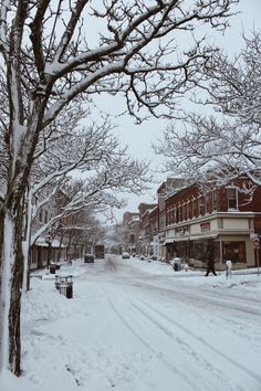 a snowy street lined with buildings and trees