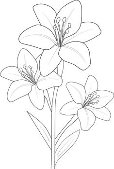 three flowers are shown in this black and white drawing, with one flower on the left side