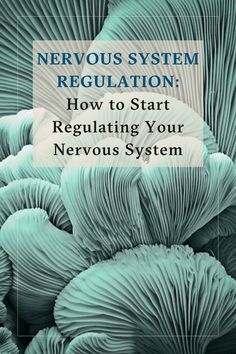 Vagal Nerve Healing, Highly Sensitive Nervous System, How To Heal A Disregulated Nervous System, Overactive Nervous System, Deregulated Nervous System, Regulating Your Nervous System, Heal Your Nervous System, Nervous System Regulation Techniques, Nervous System Reset