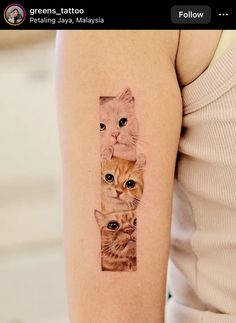 a woman's arm with two cats on it and one cat is looking at the camera