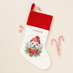 Watercolor Christmas Maltese Dog Maltese Dog, Maltese Dogs