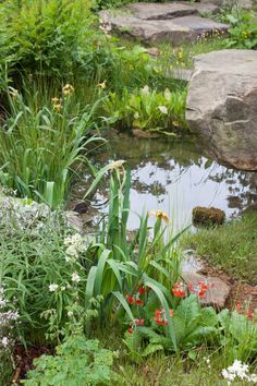 the garden is full of flowers and plants, along with some rocks in the water