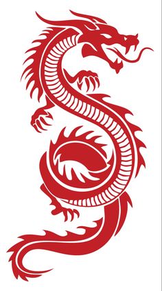 a red dragon tattoo design on a white background, it looks like the tail is curled up