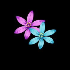 two purple and blue flowers on a black background