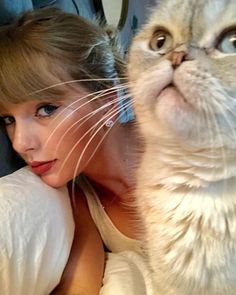 a woman laying on top of a bed next to a white cat with blue eyes