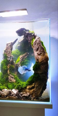 an aquarium with rocks and plants in the bottom half is lit by a light above it