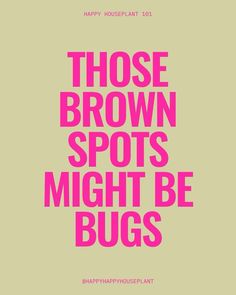 a pink poster with the words those brown spots might be bugs