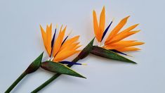 three orange flowers with green stems on a white surface