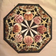 several seashells and starfish are arranged in a circular arrangement