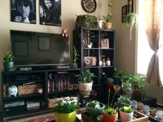 a living room filled with lots of potted plants next to a flat screen tv