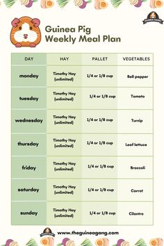 the guinea pig weekly meal plan is shown in green and orange colors, with an image of