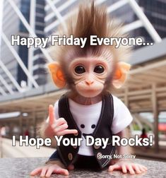 a monkey is sitting on top of a table with the caption happy friday everyone i hope your day rocks