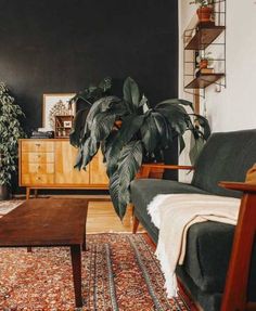 a living room filled with furniture and plants