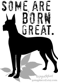 a black and white silhouette of a dog with the words, some are born great