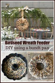 birdseed wreath feeder diy using a bundt pan for birdfeedes