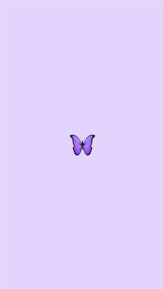 a purple butterfly flying in the sky