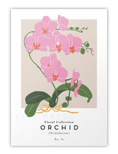 Modern minimalist Orchid botanical poster influenced by exhibition art - No. 031. Amsterdam Flower Market, Orchid Wall, Orchid Wall Art, Tropical Art Print, Plant Wall Art, Orchid Plant, Cardboard Frame, Flower Poster, Botanical Poster