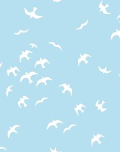 Gulls Baby Blue Wallpaper Preppy Collage, Baby Blue Wallpaper, Blue Preppy, Baby Blue Aesthetic, Light Blue Aesthetic, Blue Wallpaper Iphone, Blue Aesthetic Pastel, Collage Kit