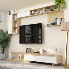 a living room with a large television on the wall and shelves in front of it