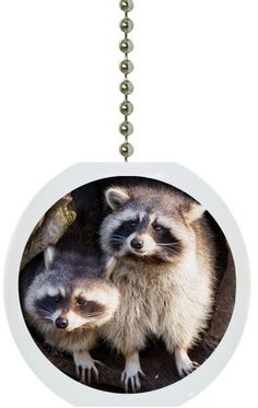 two raccoons in a circle ornament hanging from a chain