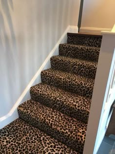 a set of stairs with leopard print carpet