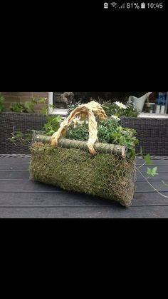 a planter filled with lots of plants on top of a wooden table