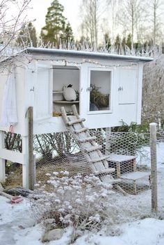 a chicken coop in the middle of winter