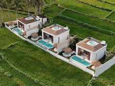 an aerial view of two houses in the middle of rice fields with pool and hot tubs