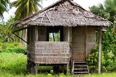 a small hut with a thatched roof in the middle of some grass and palm trees