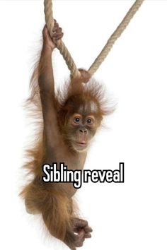 a monkey hanging from a rope with the caption sibling reveal