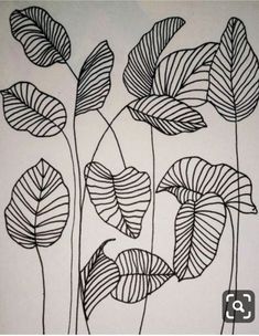 black and white drawing of leaves on paper